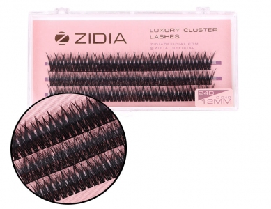 ZIDIA Cluster Lashes fish tail 24D C 0,10 (3 ленты, размер 12 мм)