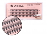 ZIDIA Cluster lashes 20D C 0,10 Mix M (3 ленты, размер 9, 10, 11 мм)