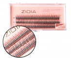 ZIDIA Cluster Lashes fish tail 12D C 0,10 (3 ленты, размер 14 мм)