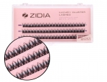 ZIDIA Cluster Lashes fish tail 24D C 0,10 (3 ленты, размер 8 мм)