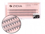 ZIDIA Cluster lashes 10D C 0,10 Mix М (3 ленты, размер 9, 10, 11 мм)