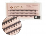 ZIDIA Cluster Lashes 10D C 0,10 (3 ленты, размер 8 мм)