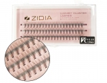 ZIDIA Cluster Lashes 10D C 0,10 (3 ленты, размер 10 мм)